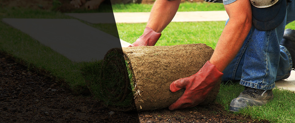 Vernalis Landscapers